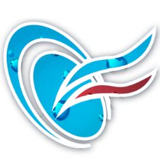 Store Central Vapors (US)